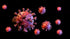 f_article.image.alt